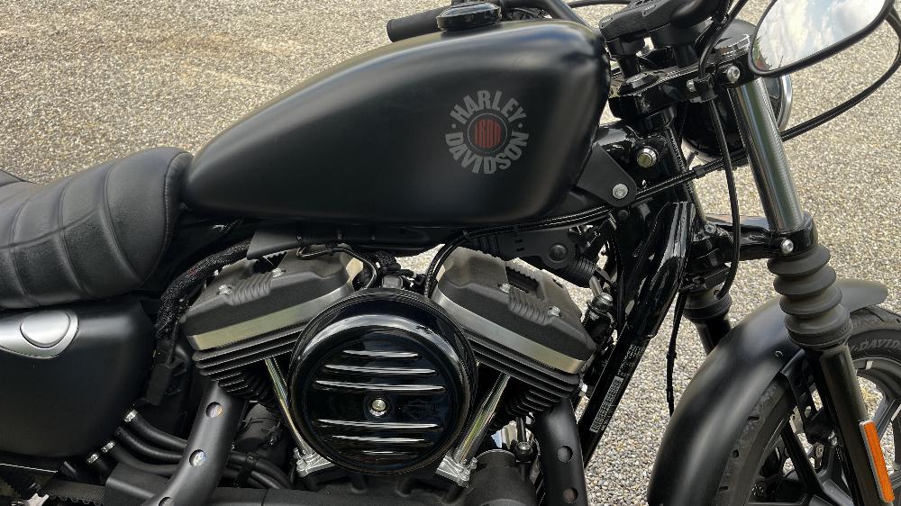 Motorrad verkaufen Harley-Davidson sportster 883 iron Ankauf
